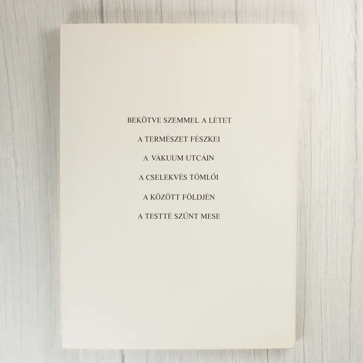 A létező hasonlat című könyv hátoldala