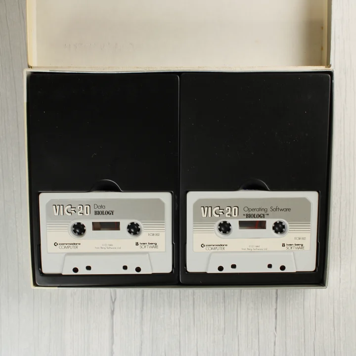 Két magnókazetta a fekete műanyag tálcában