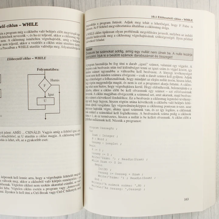 A Programozás Tankönyv belső oldala folyamatábrával és Pascal forráskóddal