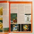 Az 576 Konzol magazin belső oldalai az Ikaruga játék képeivel.