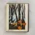Robin of the Wood Commodore 64 játék előlapja