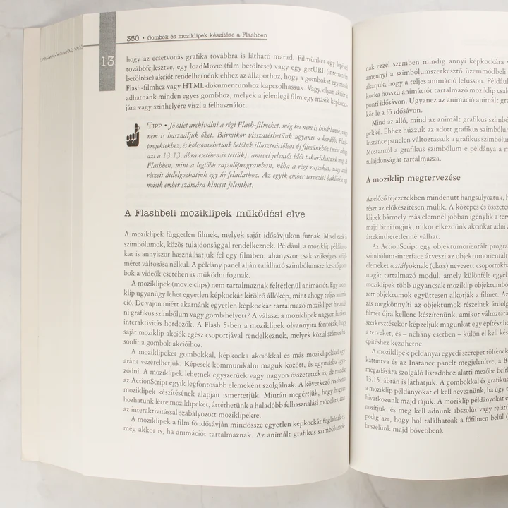 A Macromedia Flash 5 könyv belső oldalai a 13. fejezetnél