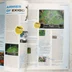 Nyitott CD Games magazin oldal az Armies of Exigo játékról