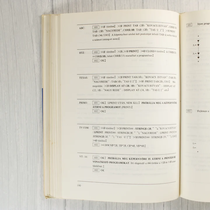 A könyv belső oldala programkódokkal