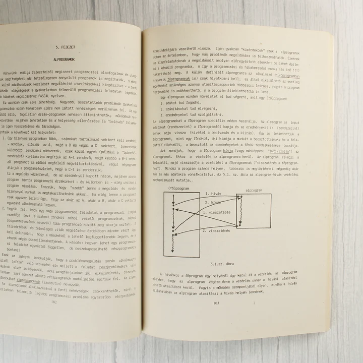 A programozás alapjai könyv belső oldalai szöveggel és ábrával